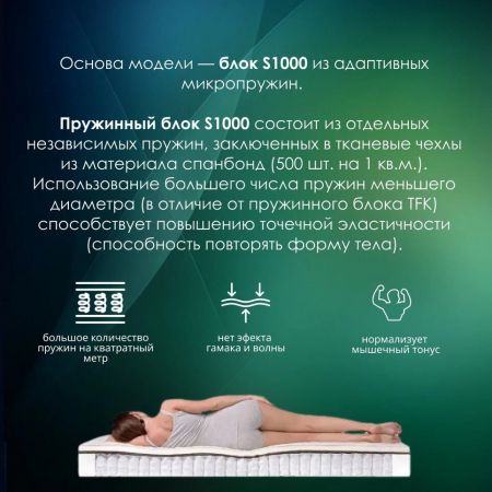Матрас EveRest Кокос Латекс 7 Зон S1000 (Кокос&nbsp;Латекс&nbsp;7&nbsp;Зон&nbsp;S1000)